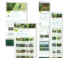 ウェブサイトの企画制作・管理