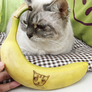 mimi-banana